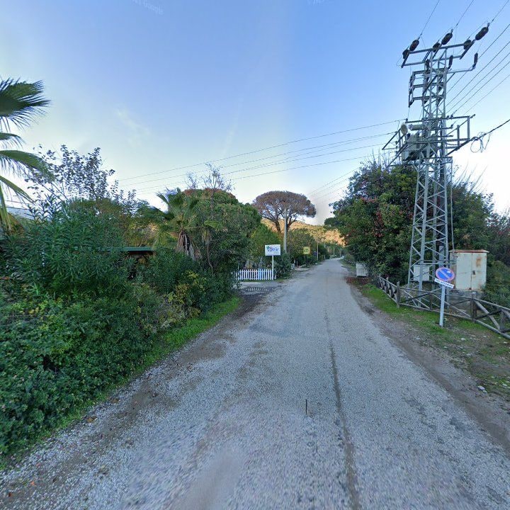Fotoğraf 12