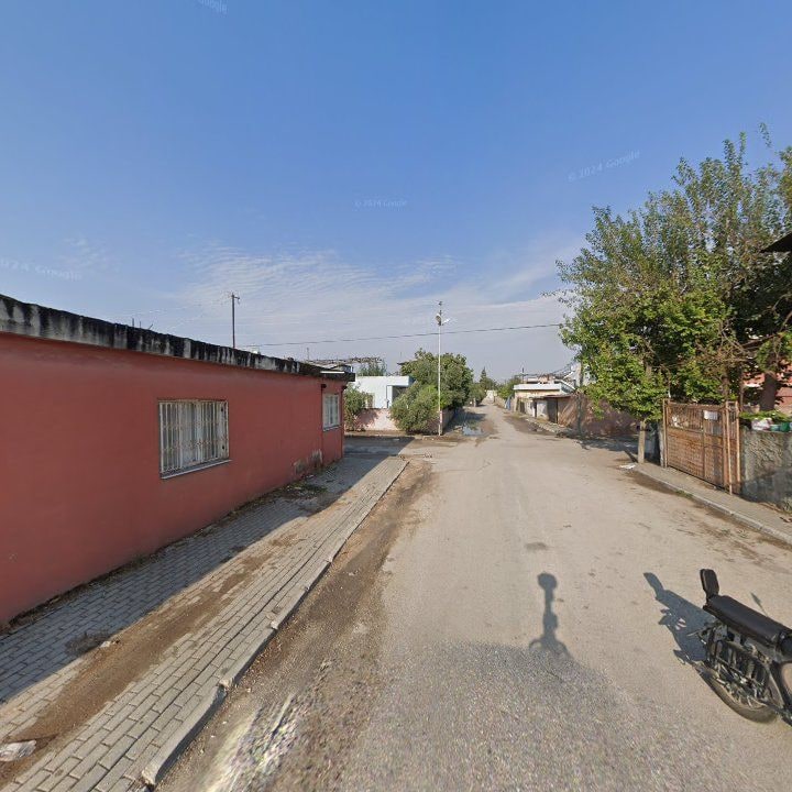 Fotoğraf 5