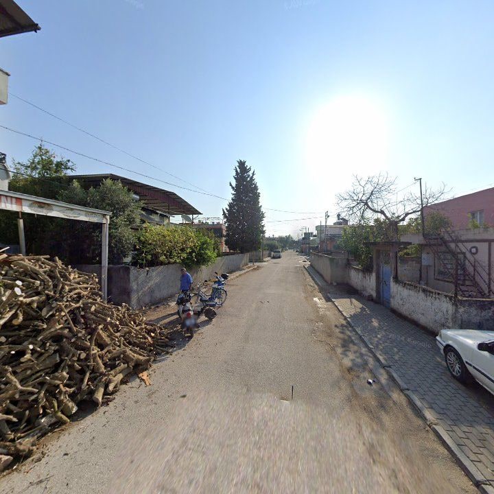 Fotoğraf 3