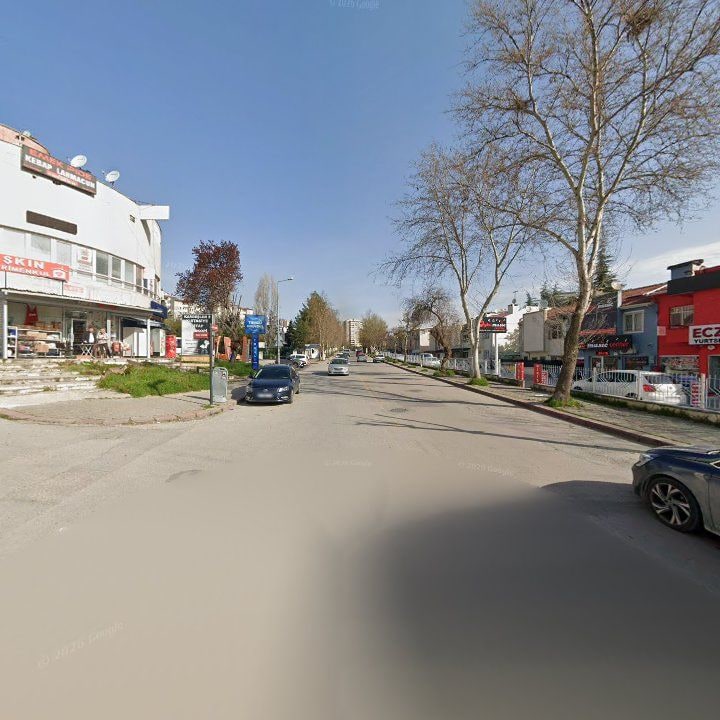 Fotoğraf 8