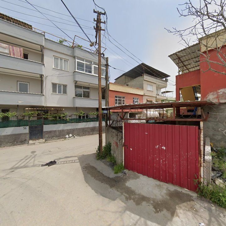 Fotoğraf 3