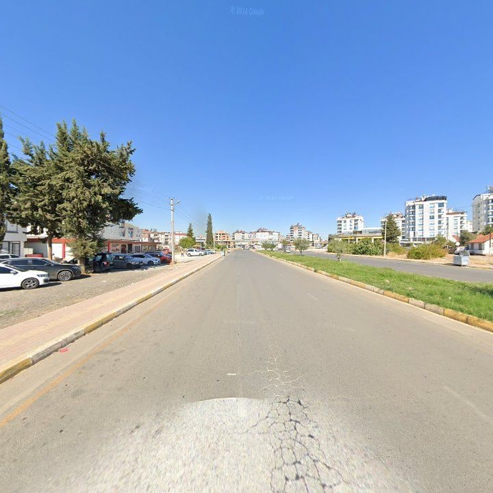 Fotoğraf 5