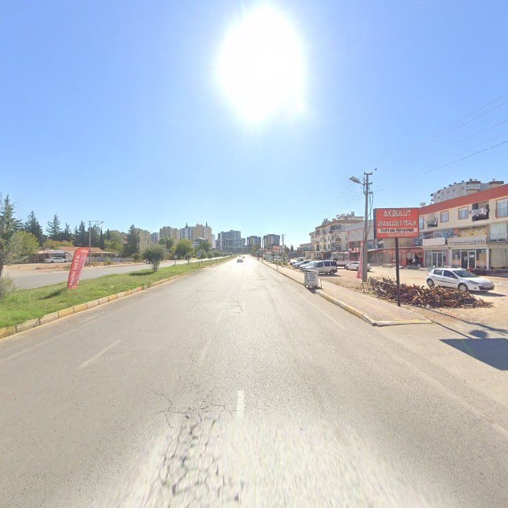 Fotoğraf 7