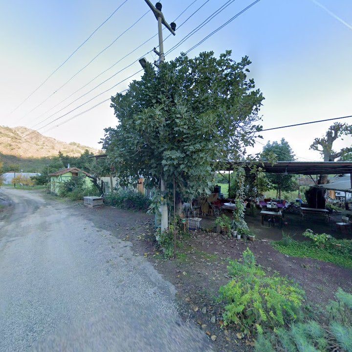 Fotoğraf 14