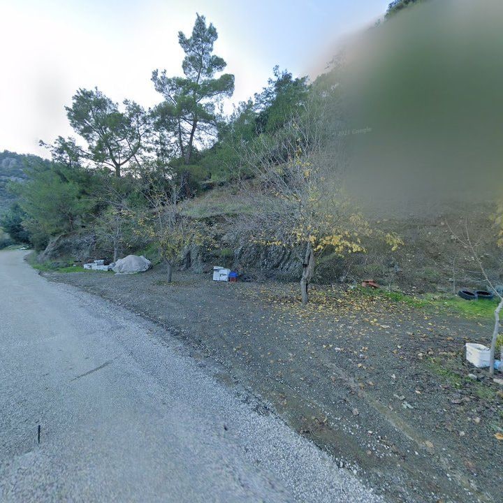 Fotoğraf 12