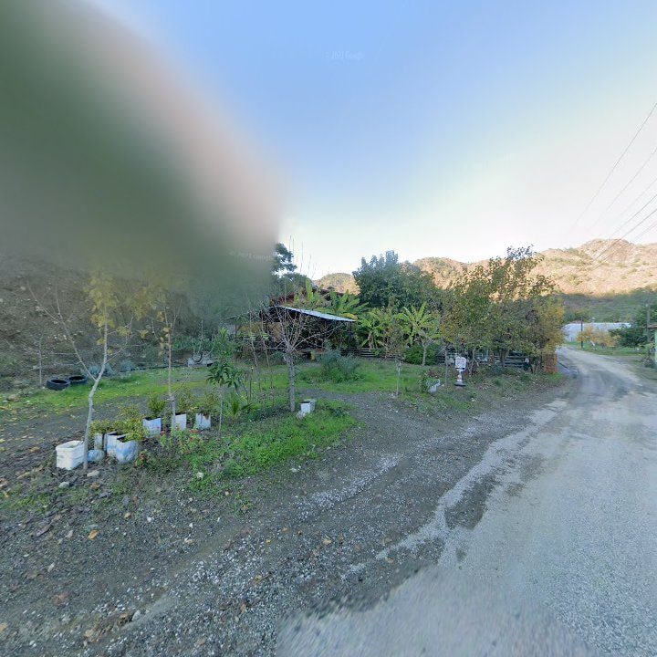 Fotoğraf 13