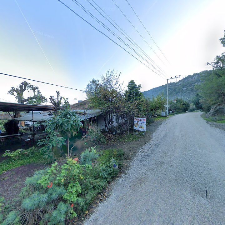Fotoğraf 11