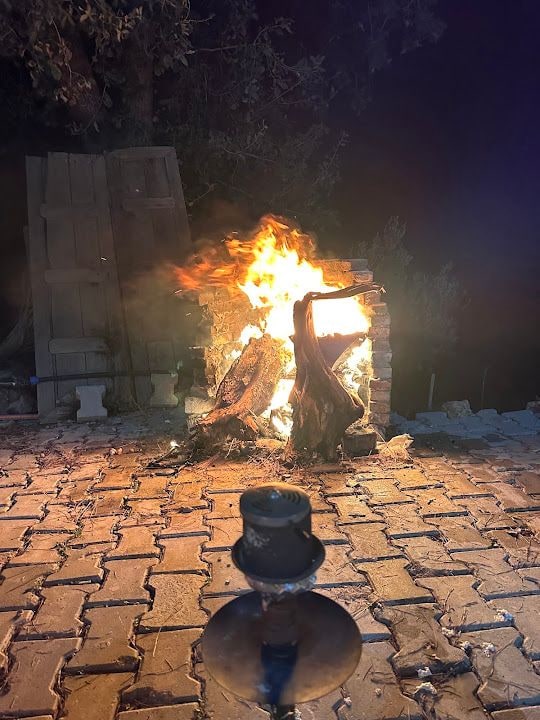 Emir Ve Ege'nin Bahçesi