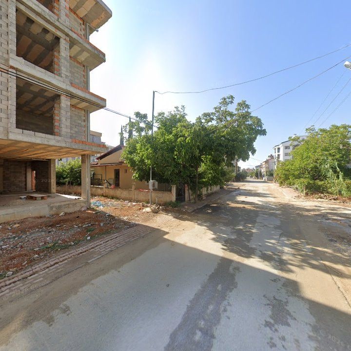 Fotoğraf 9