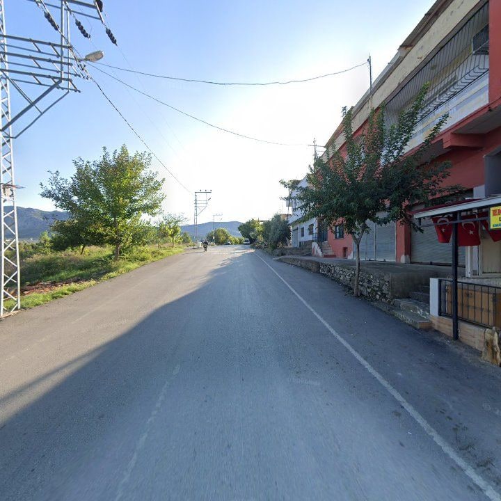 Fotoğraf 10