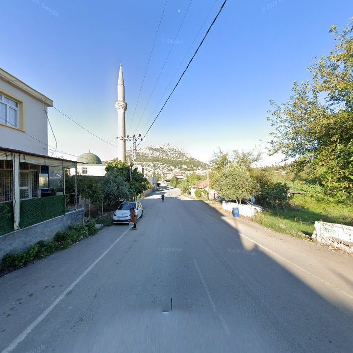Fotoğraf 8