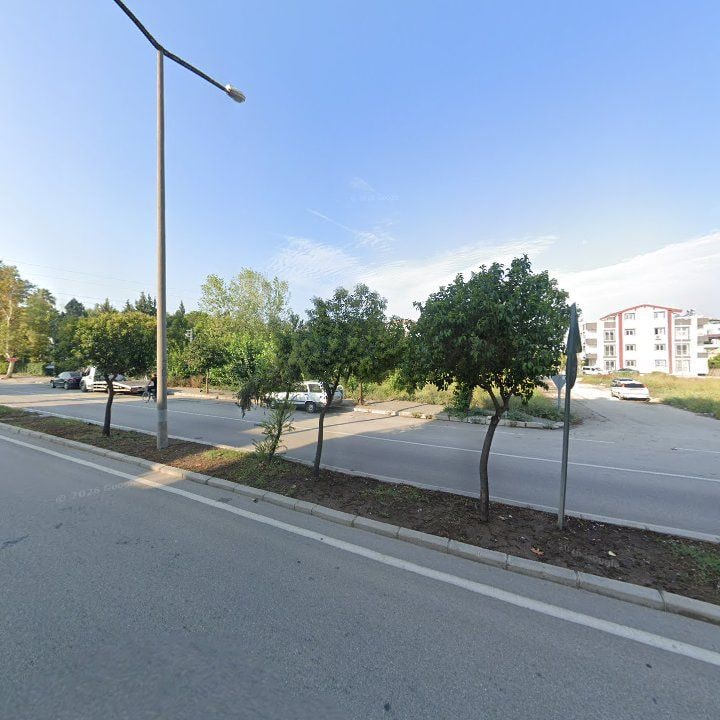 Fotoğraf 6
