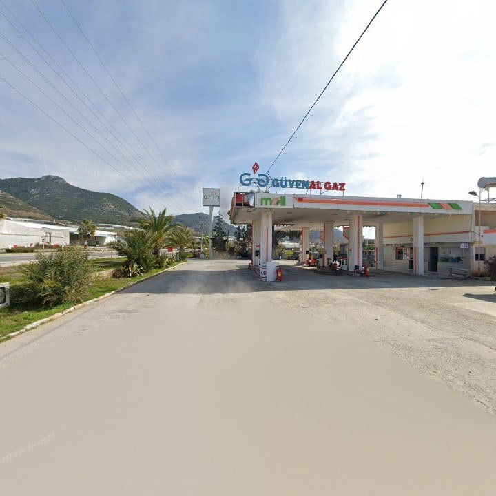 Fotoğraf 8