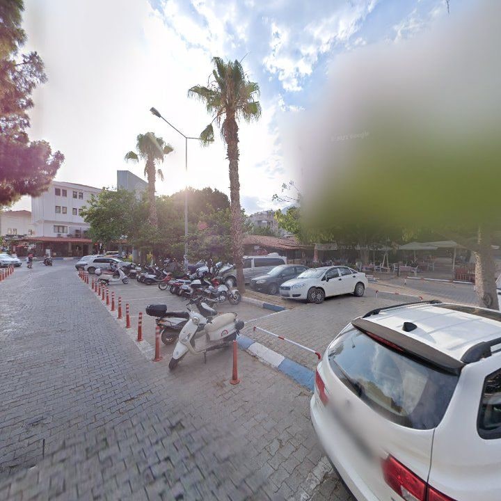 Fotoğraf 12