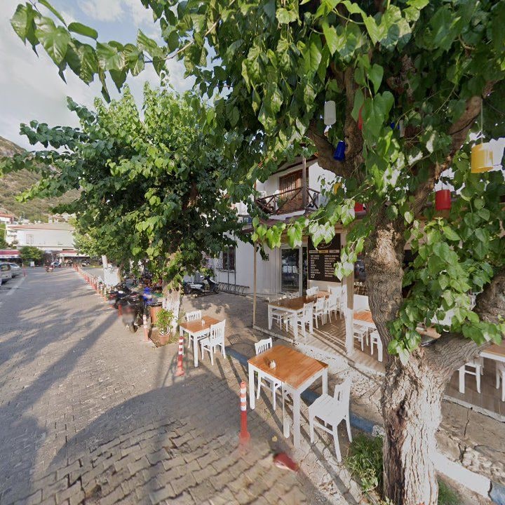 Fotoğraf 14