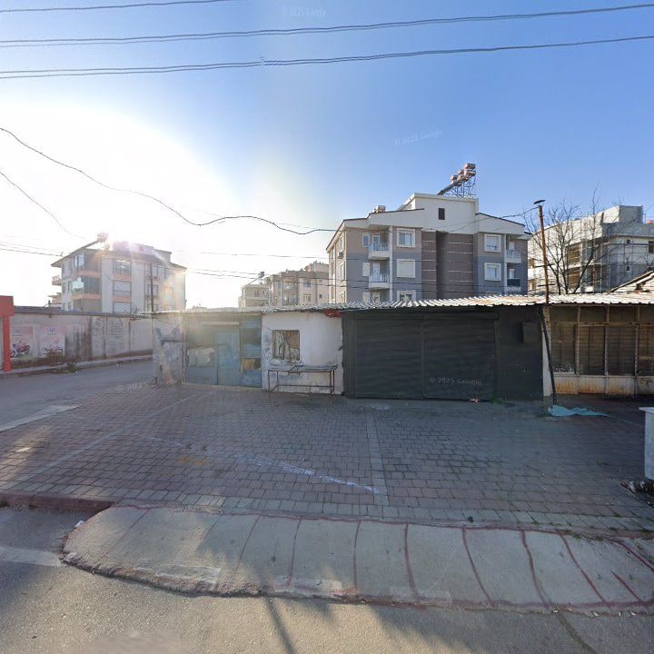 Fotoğraf 10