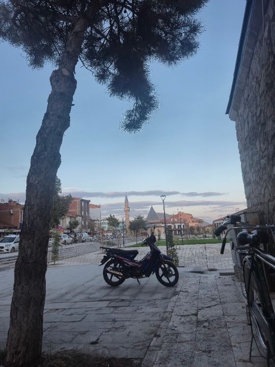 Enes Batur ağaç