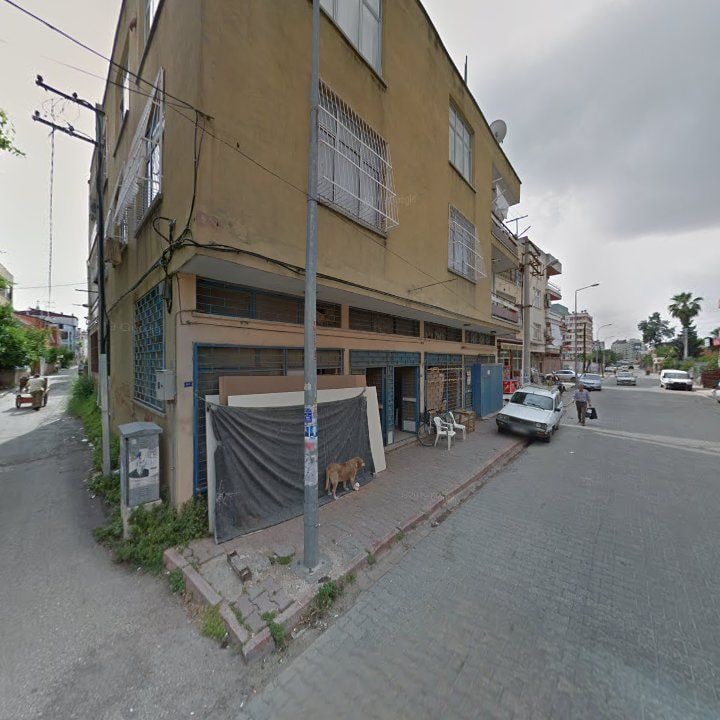 Fotoğraf 5