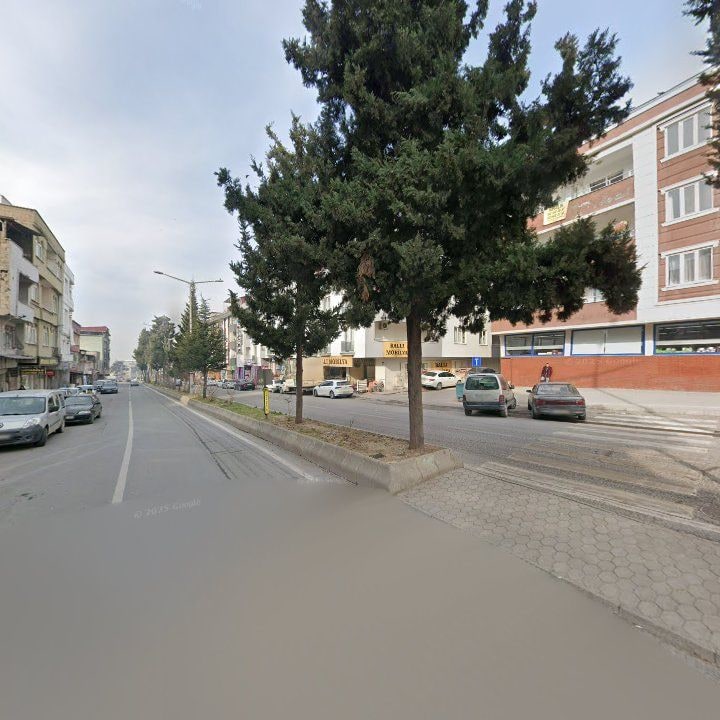 Fotoğraf 7