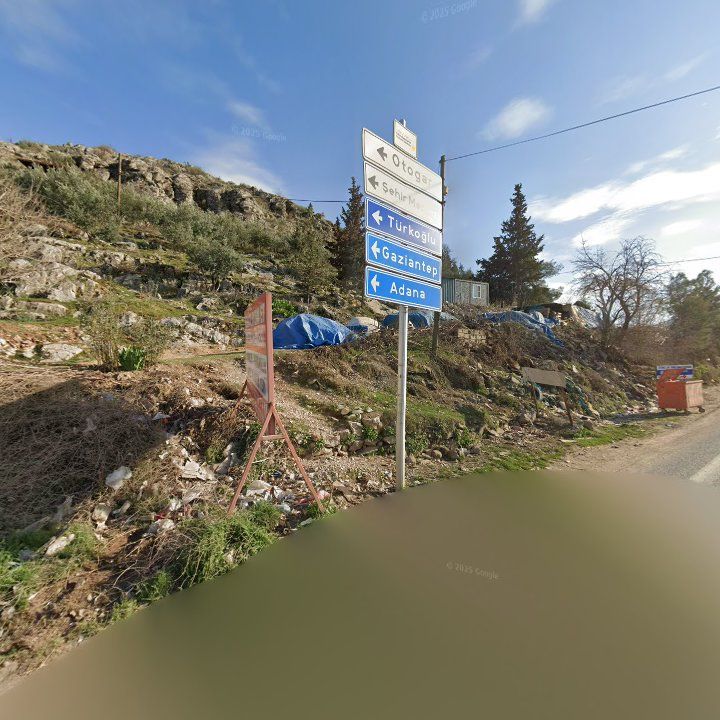 Fotoğraf 6