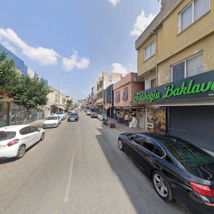 Fotoğraf 7