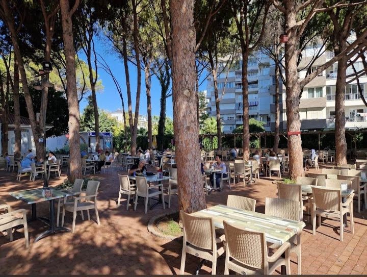 Engelsiz Cafe
