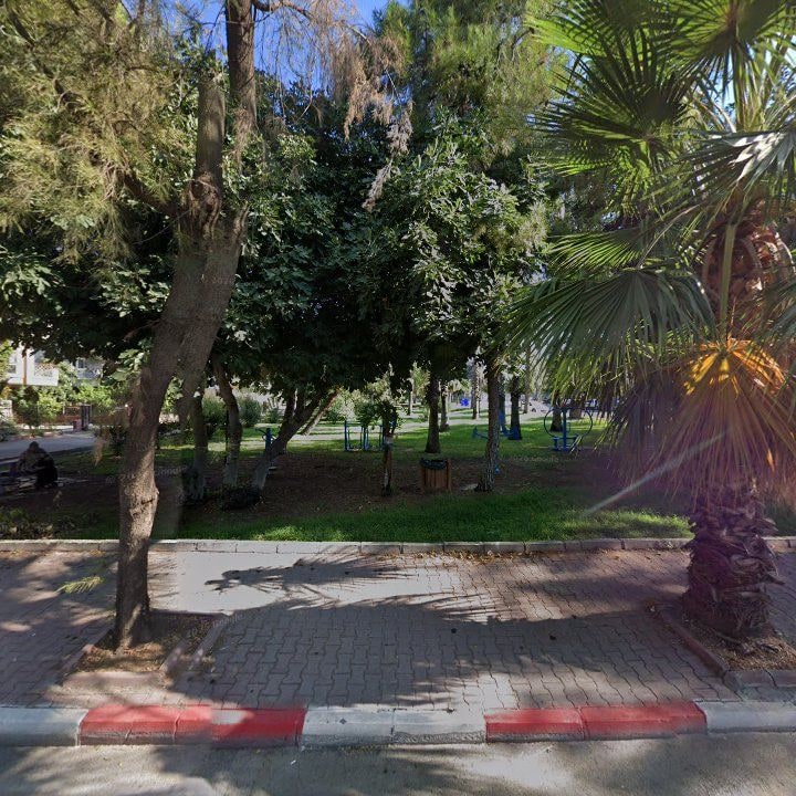 Fotoğraf 10