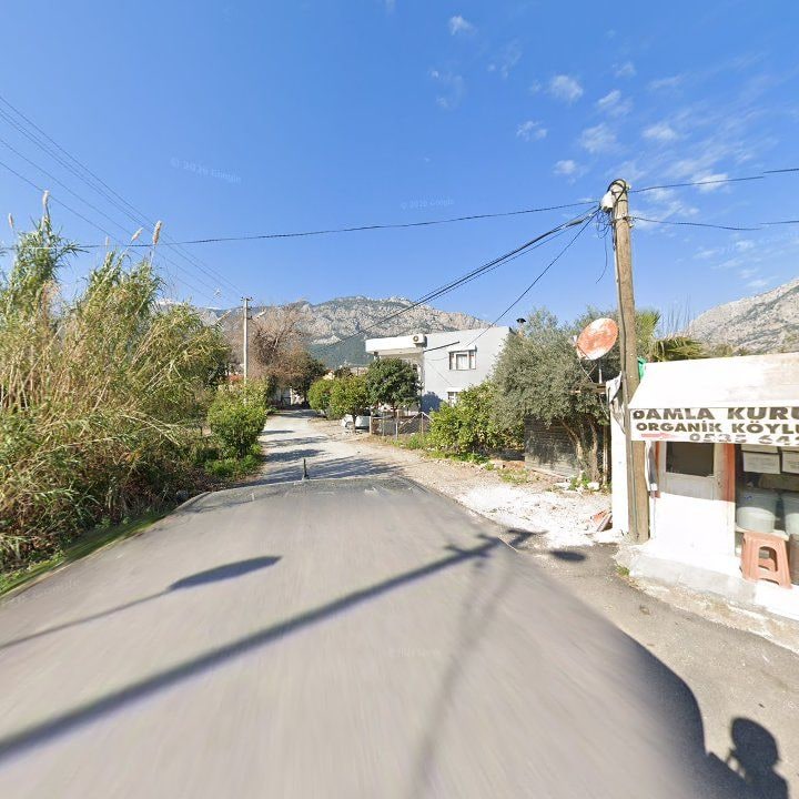 Fotoğraf 10