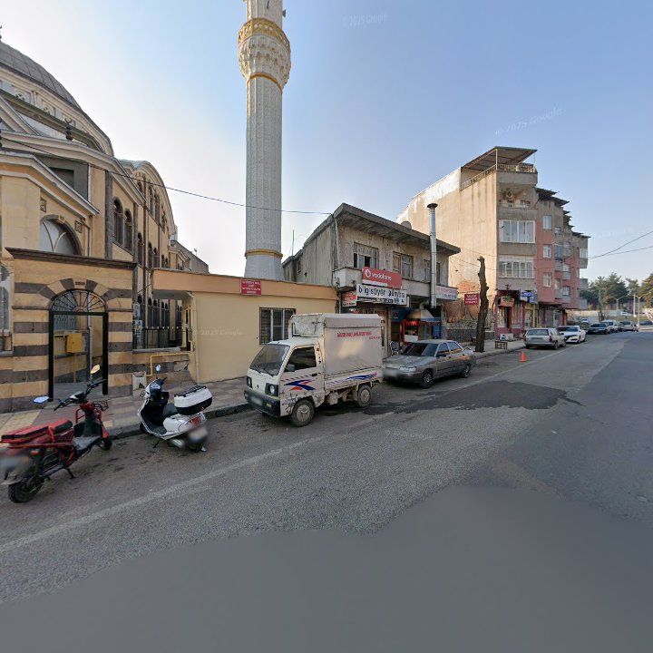 Fotoğraf 9