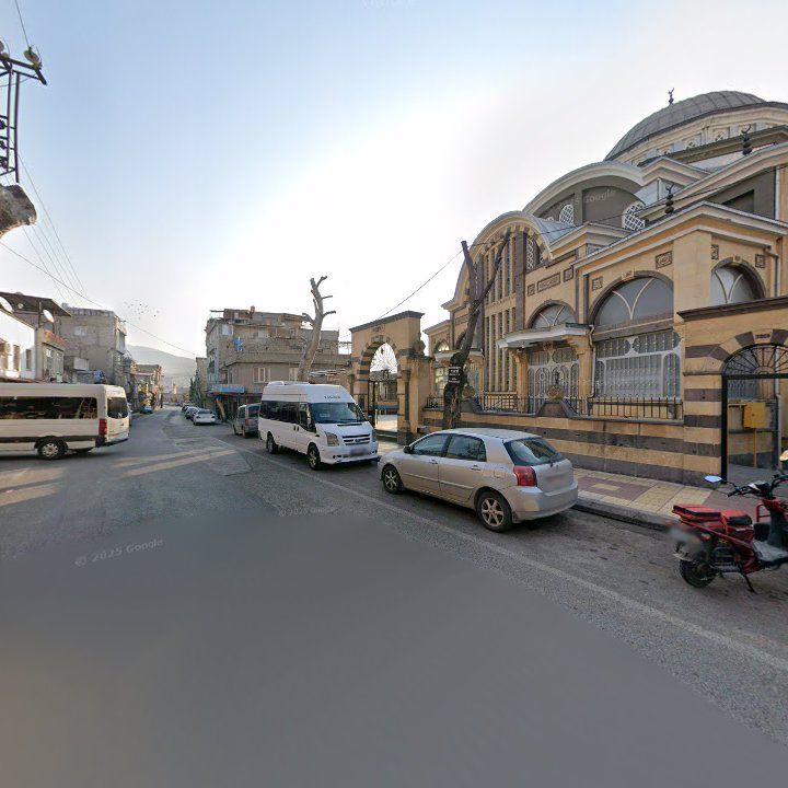 Fotoğraf 8