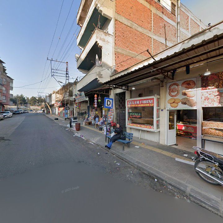 Fotoğraf 10