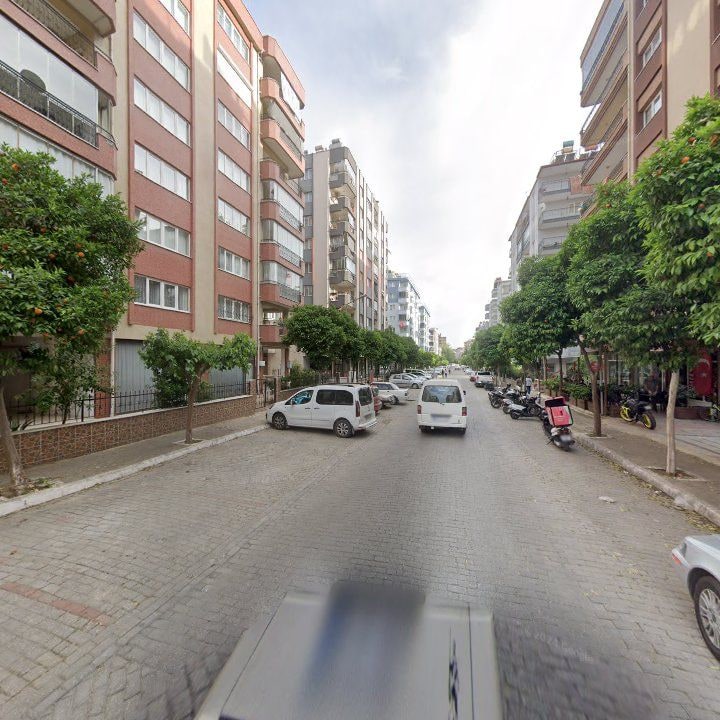 Fotoğraf 12