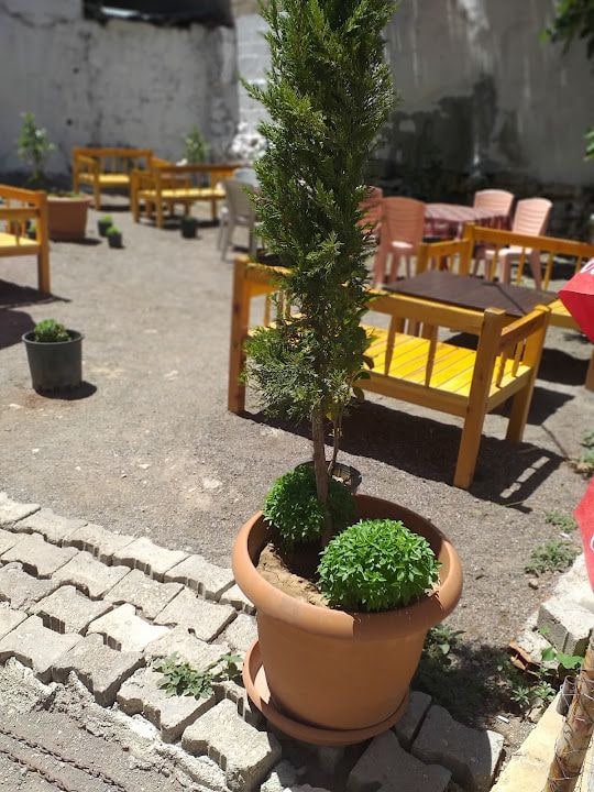 Ercan Çay Evi