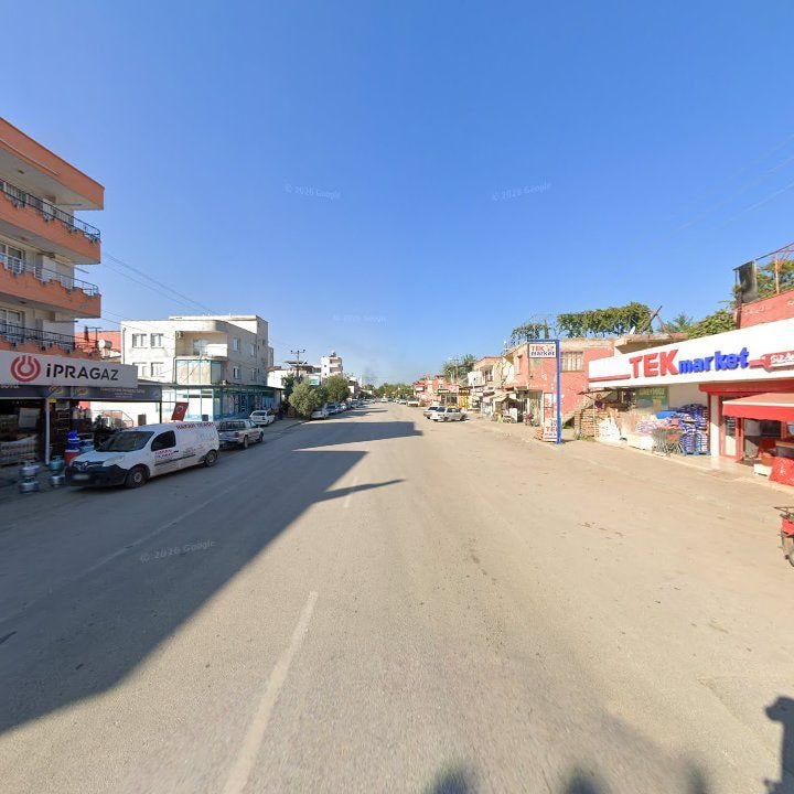 Fotoğraf 3