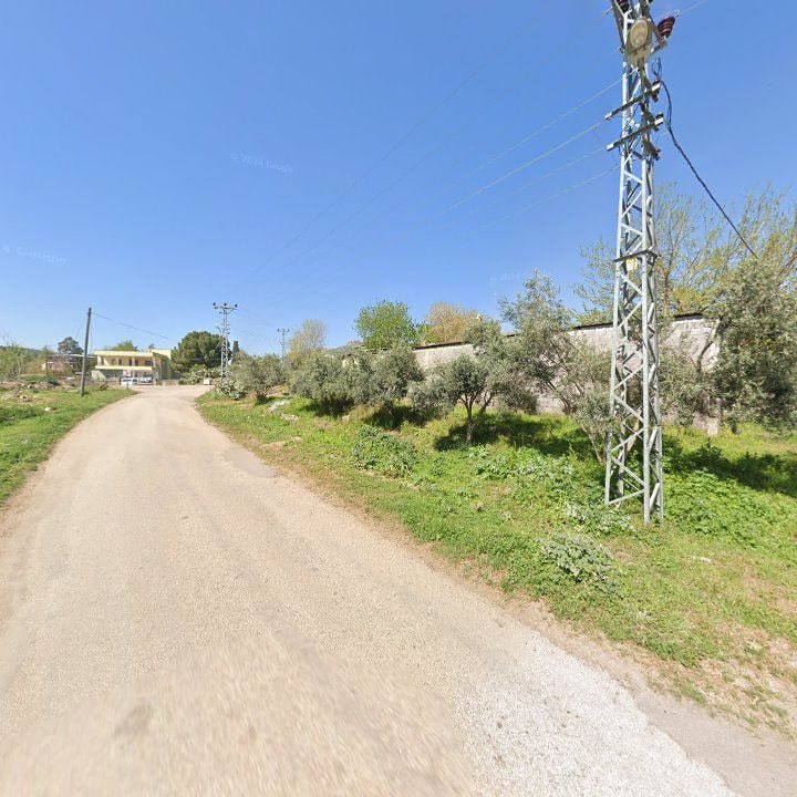 Fotoğraf 6