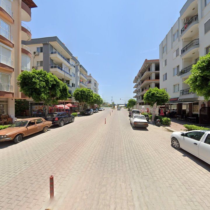 Fotoğraf 8
