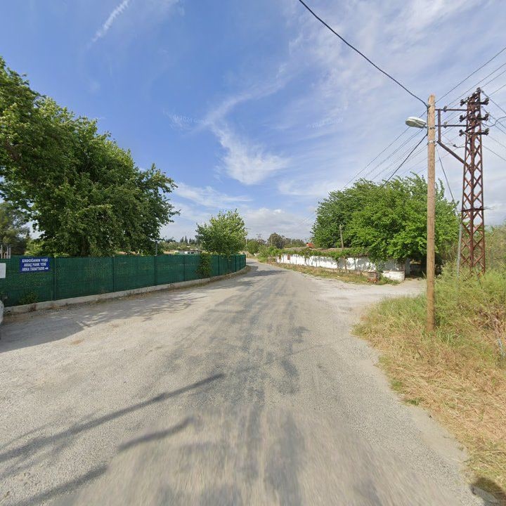Fotoğraf 7