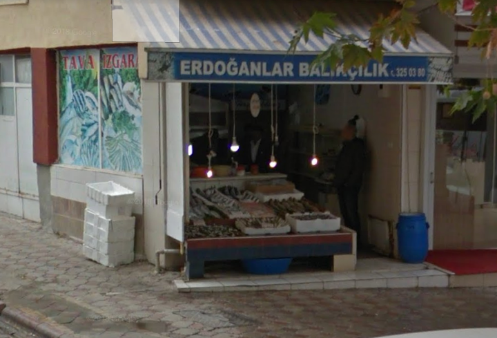 Erdoğanlar Balıkçılık