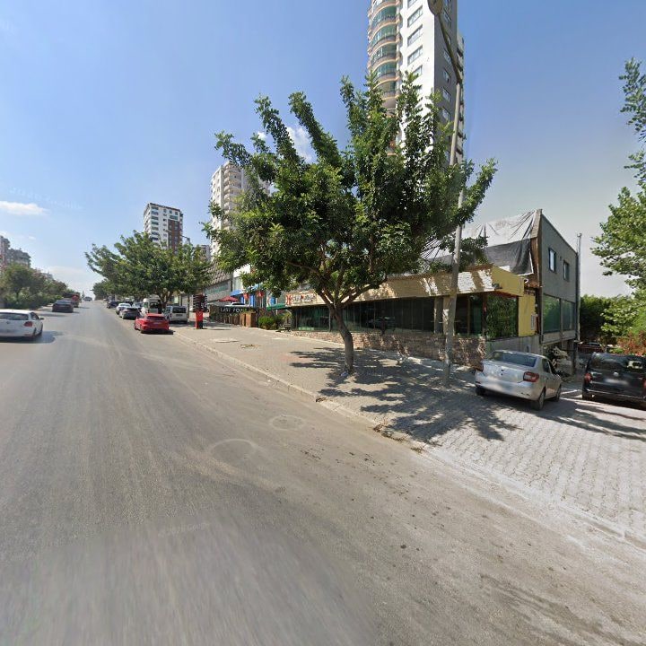 Fotoğraf 11