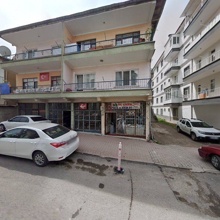Fotoğraf 4