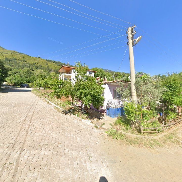 Fotoğraf 9
