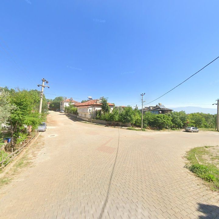 Fotoğraf 10