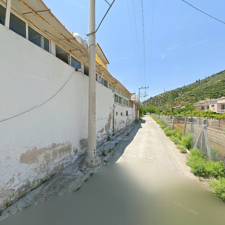 Fotoğraf 10