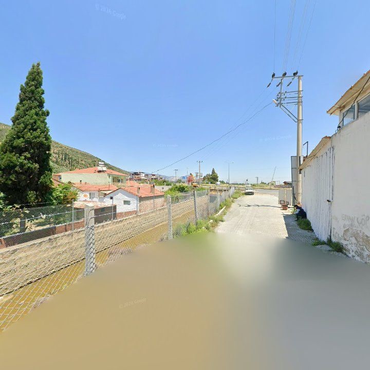 Fotoğraf 12