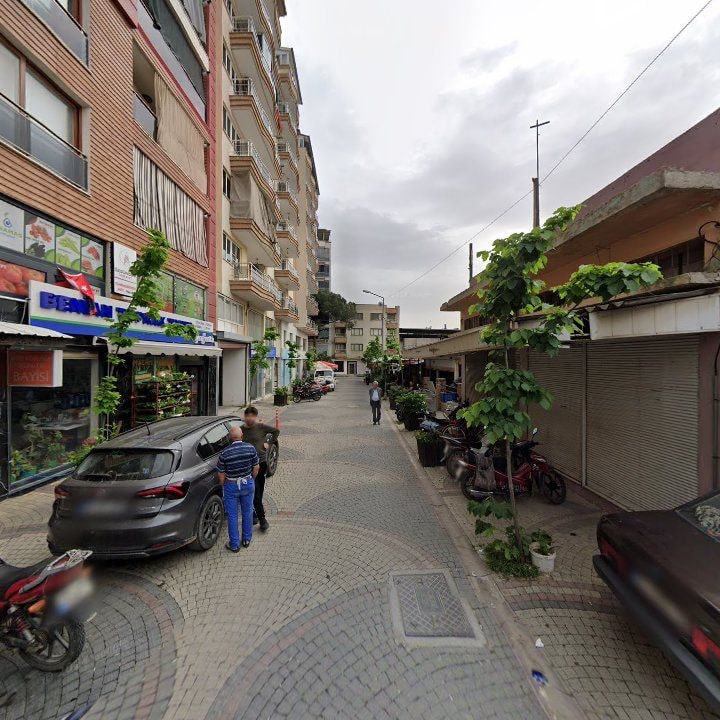 Fotoğraf 13