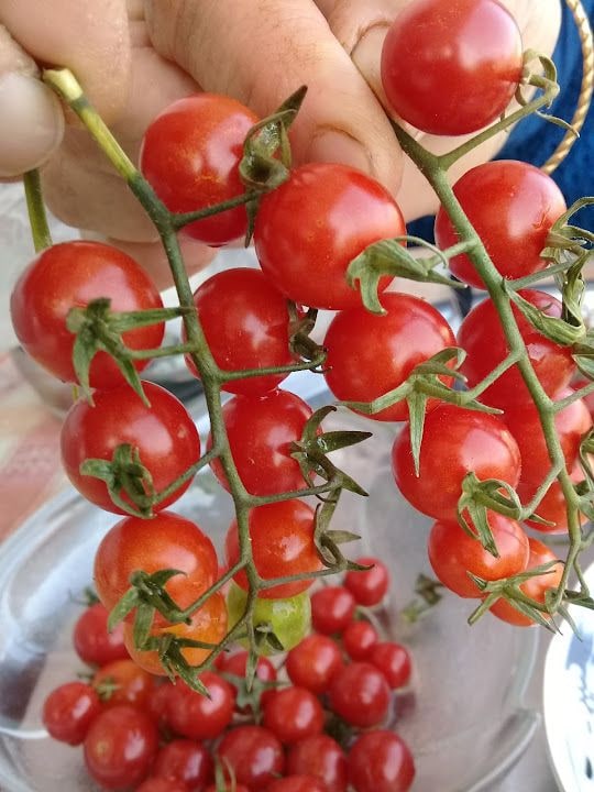 Ersoy Lokantası