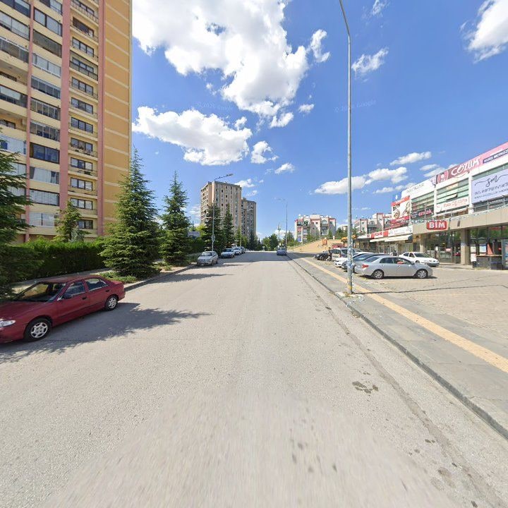Fotoğraf 10