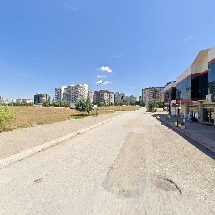 Fotoğraf 9