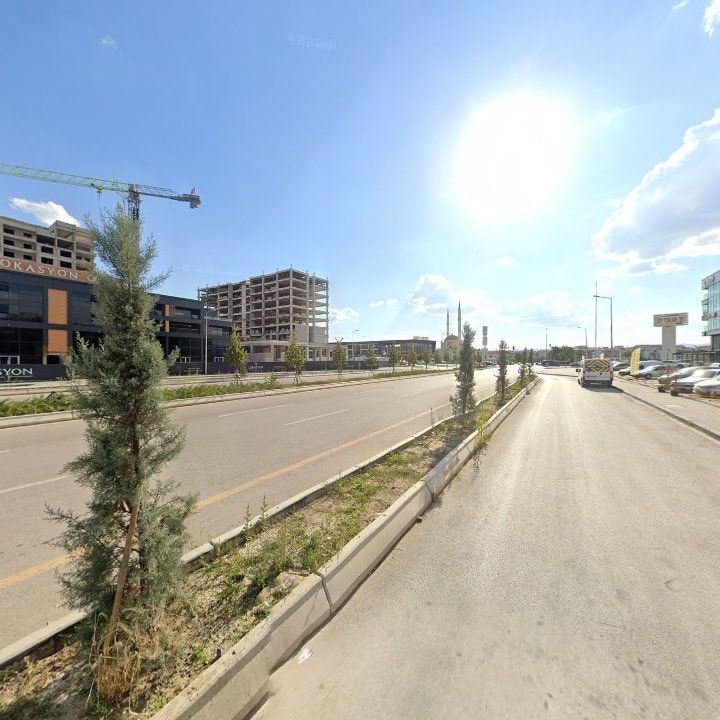Fotoğraf 11