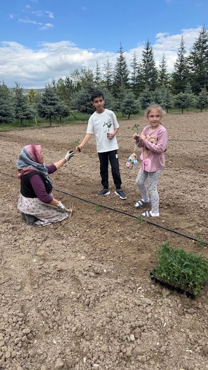 Eryamanlı Ali Dayının Çiftlik